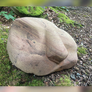 The Nose in the Boulder