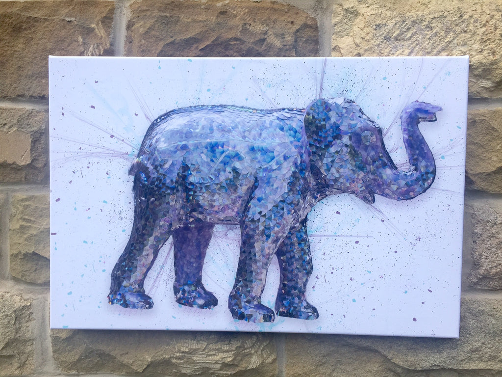 Nelly Through The Looking Glass Canvas Print by Andrew Vickers - Stoneface Creative 